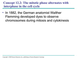 Concept 12.2: The mitotic phase alternates with
interphase in the cell cycle
• In 1882, the German anatomist Walther
Flemming developed dyes to observe
chromosomes during mitosis and cytokinesis
Copyright © 2008 Pearson Education, Inc., publishing as Pearson Benjamin Cummings
 