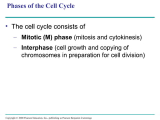 Phases of the Cell Cycle
• The cell cycle consists of
– Mitotic (M) phase (mitosis and cytokinesis)
– Interphase (cell growth and copying of
chromosomes in preparation for cell division)
Copyright © 2008 Pearson Education, Inc., publishing as Pearson Benjamin Cummings
 