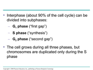 • Interphase (about 90% of the cell cycle) can be
divided into subphases:
– G1 phase (“first gap”)
– S phase (“synthesis”)
– G2 phase (“second gap”)
• The cell grows during all three phases, but
chromosomes are duplicated only during the S
phase
Copyright © 2008 Pearson Education, Inc., publishing as Pearson Benjamin Cummings
 
