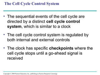The Cell Cycle Control System
• The sequential events of the cell cycle are
directed by a distinct cell cycle control
system, which is similar to a clock
• The cell cycle control system is regulated by
both internal and external controls
• The clock has specific checkpoints where the
cell cycle stops until a go-ahead signal is
received
Copyright © 2008 Pearson Education, Inc., publishing as Pearson Benjamin Cummings
 