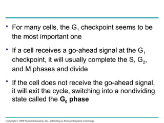 • For many cells, the G1 checkpoint seems to be
the most important one
• If a cell receives a go-ahead signal at the G1
checkpoint, it will usually complete the S, G2,
and M phases and divide
• If the cell does not receive the go-ahead signal,
it will exit the cycle, switching into a nondividing
state called the G0 phase
Copyright © 2008 Pearson Education, Inc., publishing as Pearson Benjamin Cummings
 