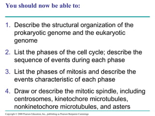 You should now be able to:
1. Describe the structural organization of the
prokaryotic genome and the eukaryotic
genome
2. List the phases of the cell cycle; describe the
sequence of events during each phase
3. List the phases of mitosis and describe the
events characteristic of each phase
4. Draw or describe the mitotic spindle, including
centrosomes, kinetochore microtubules,
nonkinetochore microtubules, and asters
Copyright © 2008 Pearson Education, Inc., publishing as Pearson Benjamin Cummings
 