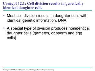Concept 12.1: Cell division results in genetically
identical daughter cells
• Most cell division results in daughter cells with
identical genetic information, DNA
• A special type of division produces nonidentical
daughter cells (gametes, or sperm and egg
cells)
Copyright © 2008 Pearson Education, Inc., publishing as Pearson Benjamin Cummings
 