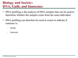 Biology and Society:
DNA, Guilt, and Innocence
• DNA profiling is the analysis of DNA samples that can be used to
determine whether the samples come from the same individual.
• DNA profiling can therefore be used in courts to indicate if
someone is:
– Guilty
– Innocent
© 2010 Pearson Education, Inc.
 