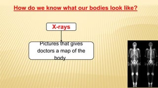 X-rays
Pictures that gives
doctors a map of the
body
How do we know what our bodies look like?
 