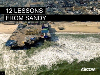 12 LESSONS
FROM SANDY

1

Image credit: istockphoto

 