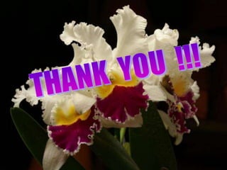 Presentation on Leukocytosis Leukemia.pptx