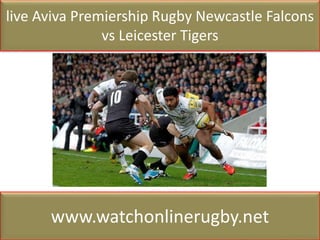live Aviva Premiership Rugby Newcastle Falcons
vs Leicester Tigers
www.watchonlinerugby.net
 