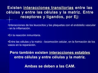 Biología - Matriz y Uniones