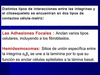 Biología - Matriz y Uniones