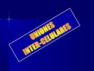 Biología - Matriz y Uniones