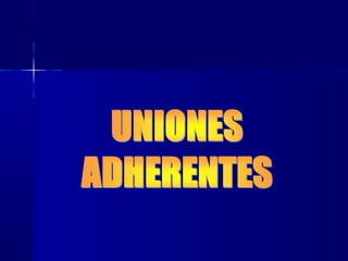 Biología - Matriz y Uniones