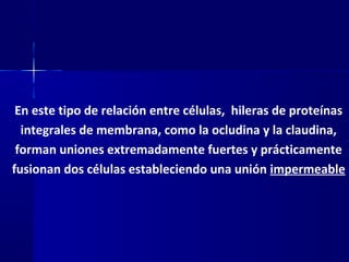 Biología - Matriz y Uniones