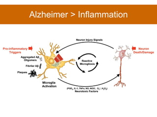 Alzheimer > Inflammation 