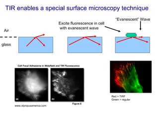 TIR enables a special surface microscopy technique Air glass “ Evanescent” Wave Excite fluorescence in cell  with evanescent wave www.olympusamerica.com Red = TIRF Green = regular 