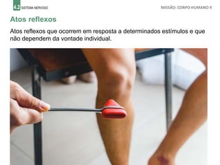 4.2 SISTEMA NERVOSO MISSÃO: CORPO HUMANO 9
Atos reflexos
Atos reflexos que ocorrem em resposta a determinados estímulos e que
não dependem da vontade individual.
 