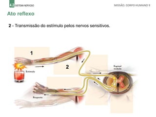 4.2 SISTEMA NERVOSO MISSÃO: CORPO HUMANO 9
Ato reflexo
2 - Transmissão do estímulo pelos nervos sensitivos.
1
2
 