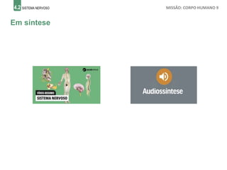 4.2 SISTEMA NERVOSO MISSÃO: CORPO HUMANO 9
Em síntese
 