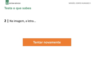 4.2 SISTEMA NERVOSO MISSÃO: CORPO HUMANO 9
Testa o que sabes
2 | Na imagem, a letra...
Tentar novamente
 
