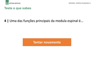 4.2 SISTEMA NERVOSO MISSÃO: CORPO HUMANO 9
Testa o que sabes
4 | Uma das funções principais da medula espinal é...
Tentar novamente
 
