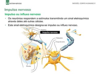 4.2 SISTEMA NERVOSO MISSÃO: CORPO HUMANO 9
Impulso nervoso
Impulso ou influxo nervoso
Impulso nervoso
• Os neurónios respondem a estímulos transmitindo um sinal eletroquímico
através deles até outras células.
• Este sinal eletroquímico designa-se impulso ou influxo nervoso.
 