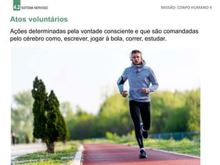 4.2 SISTEMA NERVOSO MISSÃO: CORPO HUMANO 9
Atos voluntários
Ações determinadas pela vontade consciente e que são comandadas
pelo cérebro como, escrever, jogar à bola, correr, estudar.
 