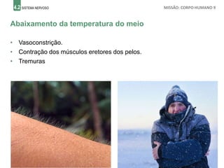4.2 SISTEMA NERVOSO MISSÃO: CORPO HUMANO 9
Abaixamento da temperatura do meio
• Vasoconstrição.
• Contração dos músculos eretores dos pelos.
• Tremuras
 