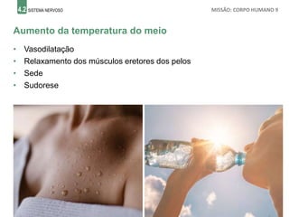 4.2 SISTEMA NERVOSO MISSÃO: CORPO HUMANO 9
Aumento da temperatura do meio
• Vasodilatação
• Relaxamento dos músculos eretores dos pelos
• Sede
• Sudorese
 