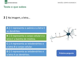 4.2 SISTEMA NERVOSO MISSÃO: CORPO HUMANO 9
Testa o que sabes
2 | Na imagem, a letra...
A | C representa o axónio e a letra E
as dendrites.
B | D representa o corpo celular e a
letra C a bainha de mielina.
C | A representa as telodendrites e
a letra B o corpo celular.
Próxima pergunta
D | E representa as telodendrites e
a letra A as dendrites.
 