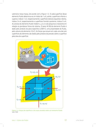 submerso nessa massa, de acordo com a Figura 1.2. A cada superfície desse
elemento fluido determina-se um índice de 1 a 6, sendo: superfícies inferior e
superior, índices 1 e 2, respectivamente; superfícies laterais esquerda e direita,
índices 3 e 4, respectivamente e superfícies frontal e posterior, índices 5 e 6.
As arestas do elemento fluido medem x, y e z e são pequenas o bastante em
relação às grandezas físicas do sistema. O peso W [N] do elemento fluido é
dado pelo produto do peso específico g [N/m3
], uma propriedade do fluido,
pelo volume do elemento V [m3
]. As forças que atuam em cada uma das seis
superfícies do elemento são dadas pelo produto da pressão sobre a superfície
pela área da superfície.
Figura 1.2: Forças de superfície e de corpo atuando sobre um elemento fluido
Fonte: CTISM
e-Tec Brasil
Aula 1 - Estática dos fluidos 17
 