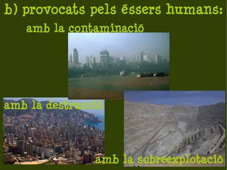 b) provocats pels éssers humans:
   amb la contaminació




amb la destrucció



               amb la sobreexplotació
 