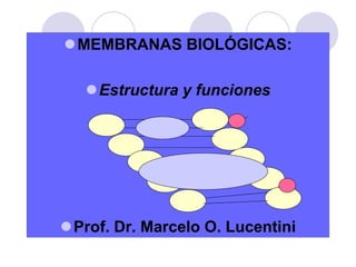 ⚫MEMBRANAS BIOLÓGICAS:
⚫Estructura y funciones
⚫Prof. Dr. Marcelo O. Lucentini
 