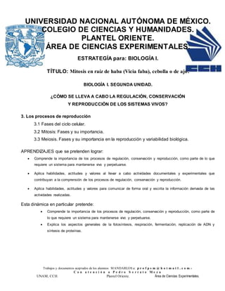 Trabajos y documentos aceptados de los alumnos MANDARLOS a: p r o f p s m @ h o t m a i l . c o m -
C o n a t e n c i ó n a P e d r o S e r r a t o M e z a
UNAM, CCH. Plantel Oriente. Área de Ciencias Experimentales.
UNIVERSIDAD NACIONAL AUTÓNOMA DE MÉXICO.
COLEGIO DE CIENCIAS Y HUMANIDADES.
PLANTEL ORIENTE.
ÁREA DE CIENCIAS EXPERIMENTALES.
ESTRATEGÍA para: BIOLOGÍA I.
TÍTULO: Mitosis en raíz de haba (Vicia faba), cebolla o de ajo.
BIOLOGÍA I. SEGUNDA UNIDAD.
¿CÓMO SE LLEVA A CABO LA REGULACIÓN, CONSERVACIÓN
Y REPRODUCCIÓN DE LOS SISTEMAS VIVOS?
3. Los procesos de reproducción
3.1 Fases del ciclo celular.
3.2 Mitosis: Fases y su importancia.
3.3 Meiosis. Fases y su importancia en la reproducción y variabilidad biológica.
APRENDIZAJES que se pretenden lograr:
 Comprende la importancia de los procesos de regulación, conservación y reproducción, como parte de lo que
requiere un sistema para mantenerse vivo y perpetuarse.
 Aplica habilidades, actitudes y valores al llevar a cabo actividades documentales y experimentales que
contribuyan a la comprensión de los procesos de regulación, conservación y reproducción.
 Aplica habilidades, actitudes y valores para comunicar de forma oral y escrita la información derivada de las
actividades realizadas.
Esta dinámica en particular pretende:
 Comprende la importancia de los procesos de regulación, conservación y reproducción, como parte de
lo que requiere un sistema para mantenerse vivo y perpetuarse.
 Explica los aspectos generales de la fotosíntesis, respiración, fermentación, replicación de ADN y
síntesis de proteínas.
 