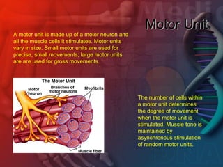 12 myopathy and neurofibromatosis.pptjsu | PPT