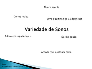 Nunca acorda



               Dorme muito
                                        Leva algum tempo a adormecer



                              Variedade de Sonos
   Adormece rapidamente                              Dorme pouco




                                    Acorda com qualquer coisa




Sono
A essência da sobrevivência
 