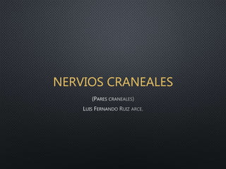 NERVIOS CRANEALES
 