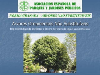 Árvores Ornamentais Não Substituíveis
NORMA GRANADA – ÁRVORES NÃO SUBSTITUÍVEIS
Impossibilidade de encontrar a árvore por outra de iguais características
 