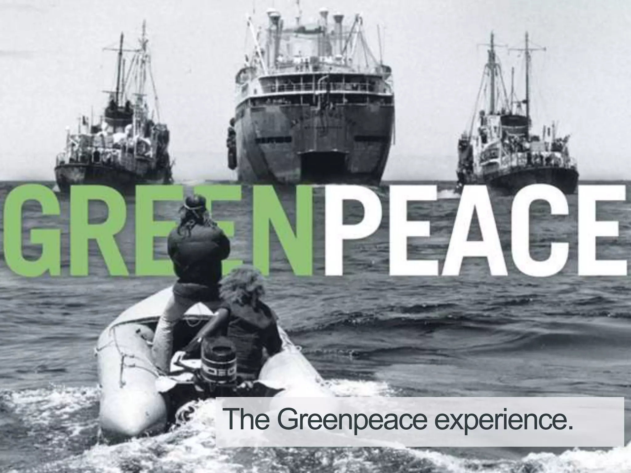 The Greenpeace experience.
 