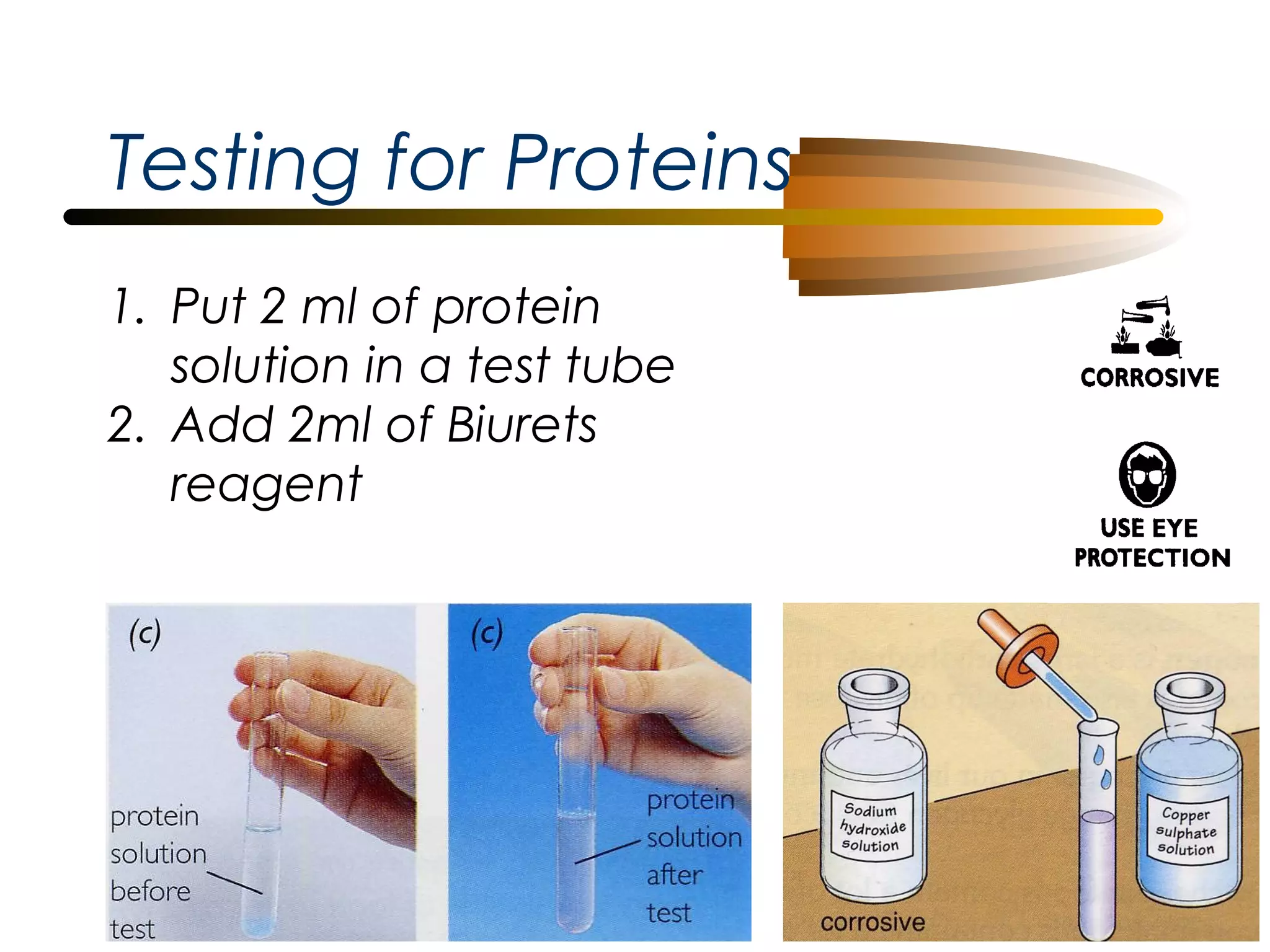 Testing for Proteins
1. Put 2 ml of protein
solution in a test tube
2. Add 2ml of Biurets
reagent

 