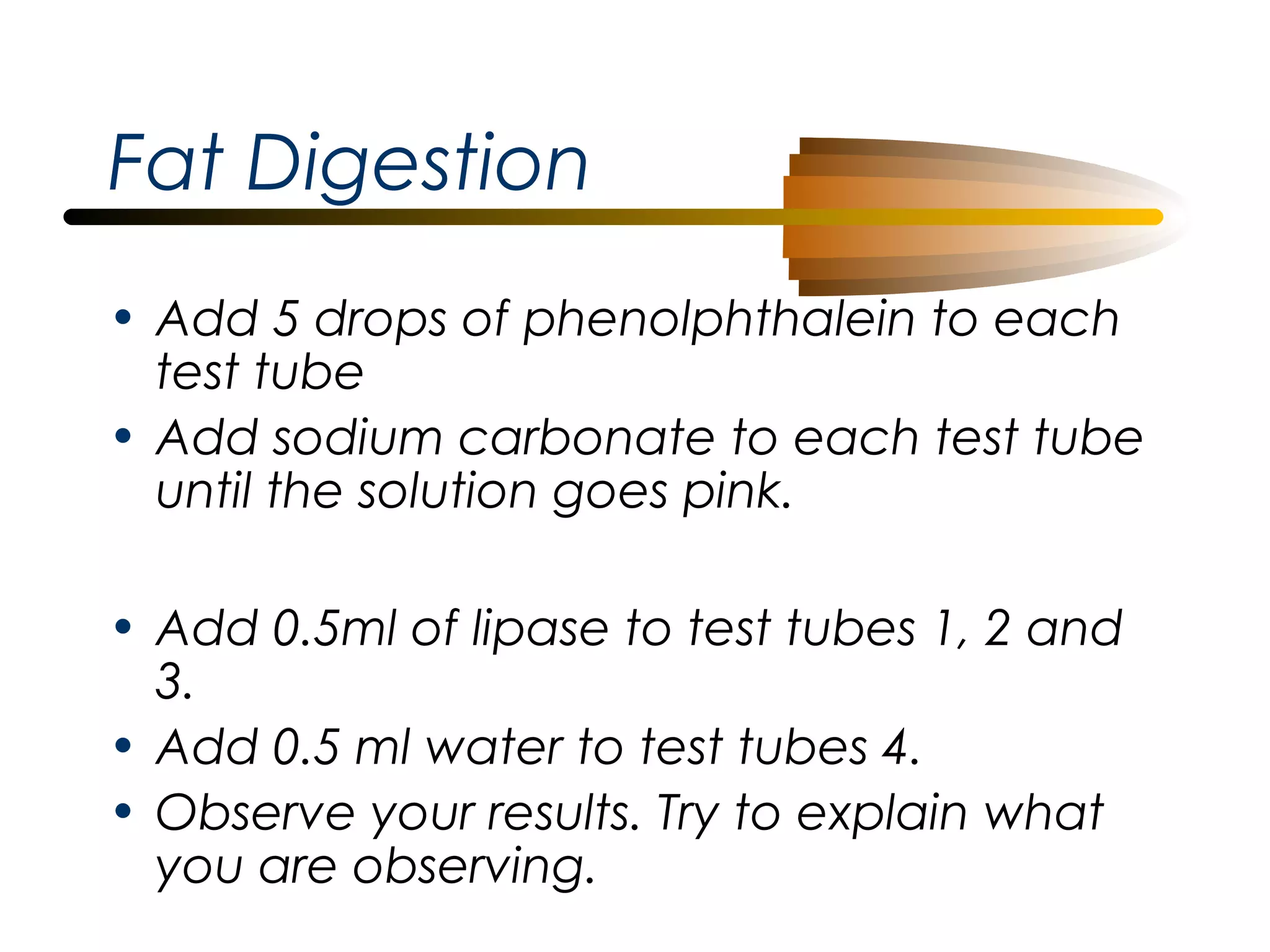 Fat Digestion
• Add 5 drops of phenolphthalein to each
test tube
• Add sodium carbonate to each test tube
until the solution goes pink.
• Add 0.5ml of lipase to test tubes 1, 2 and
3.
• Add 0.5 ml water to test tubes 4.
• Observe your results. Try to explain what
you are observing.

 