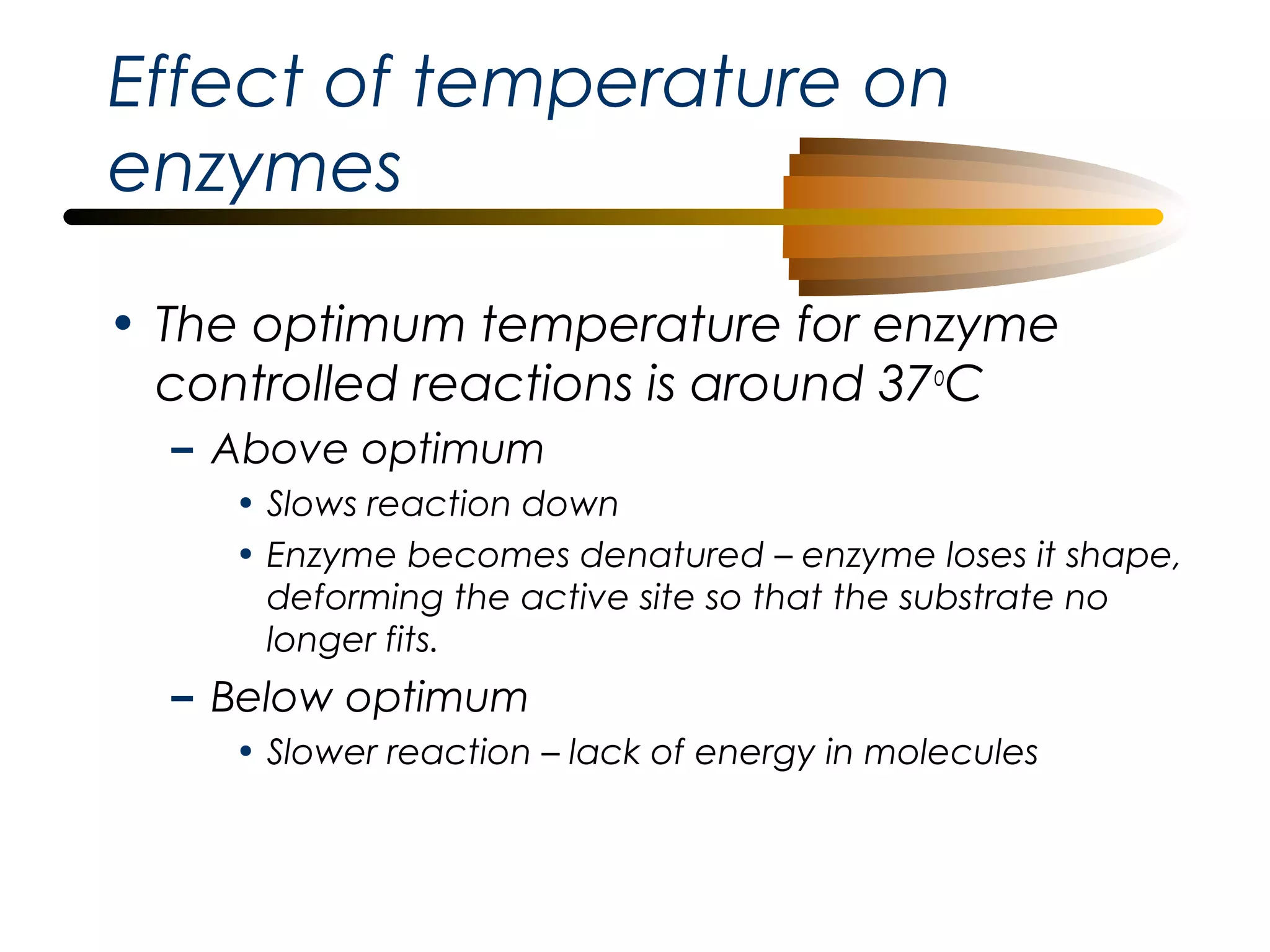 Effect of temperature on
enzymes
• The optimum temperature for enzyme
controlled reactions is around 37oC
– Above optimum
• Slows reaction down
• Enzyme becomes denatured – enzyme loses it shape,
deforming the active site so that the substrate no
longer fits.

– Below optimum
• Slower reaction – lack of energy in molecules

 