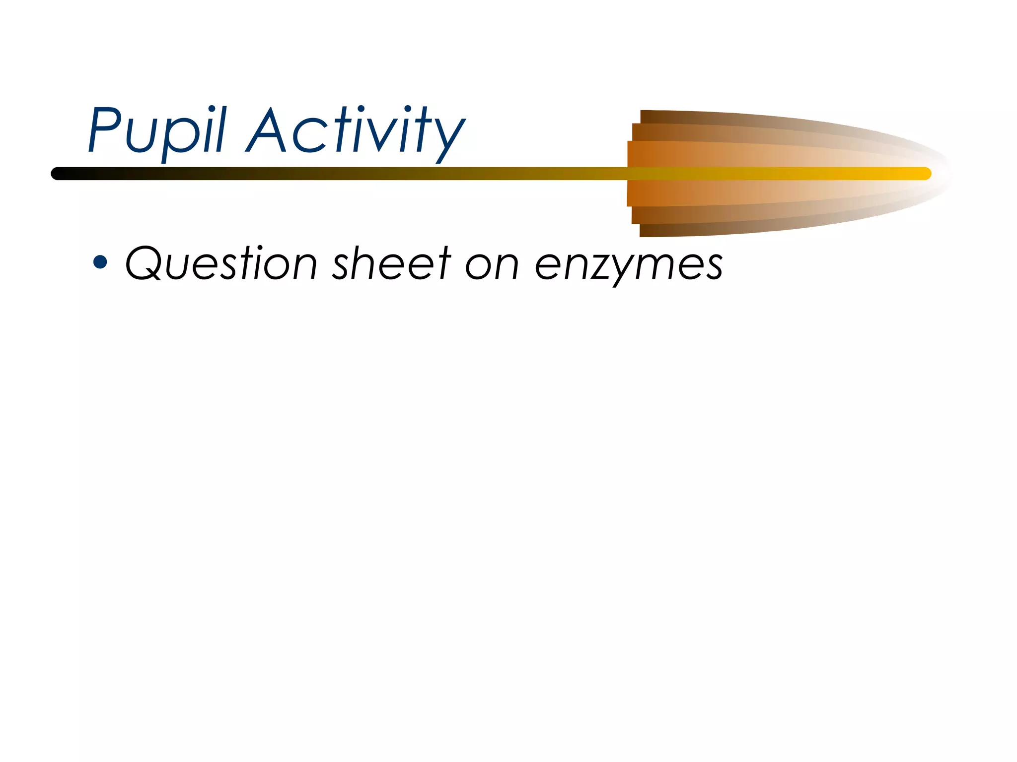 Pupil Activity
• Question sheet on enzymes

 