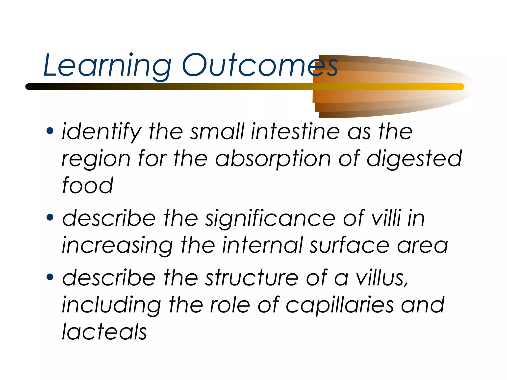 Learning Outcomes
• identify the small intestine as the
region for the absorption of digested
food
• describe the significance of villi in
increasing the internal surface area
• describe the structure of a villus,
including the role of capillaries and
lacteals

 