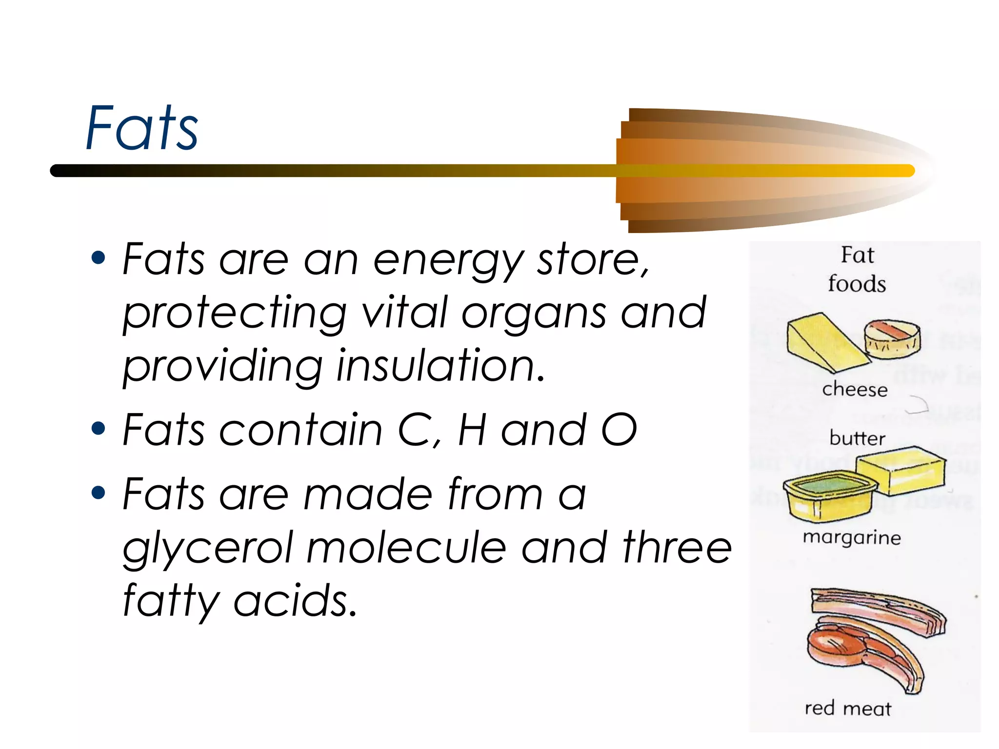 Fats
• Fats are an energy store,
protecting vital organs and
providing insulation.
• Fats contain C, H and O
• Fats are made from a
glycerol molecule and three
fatty acids.

 