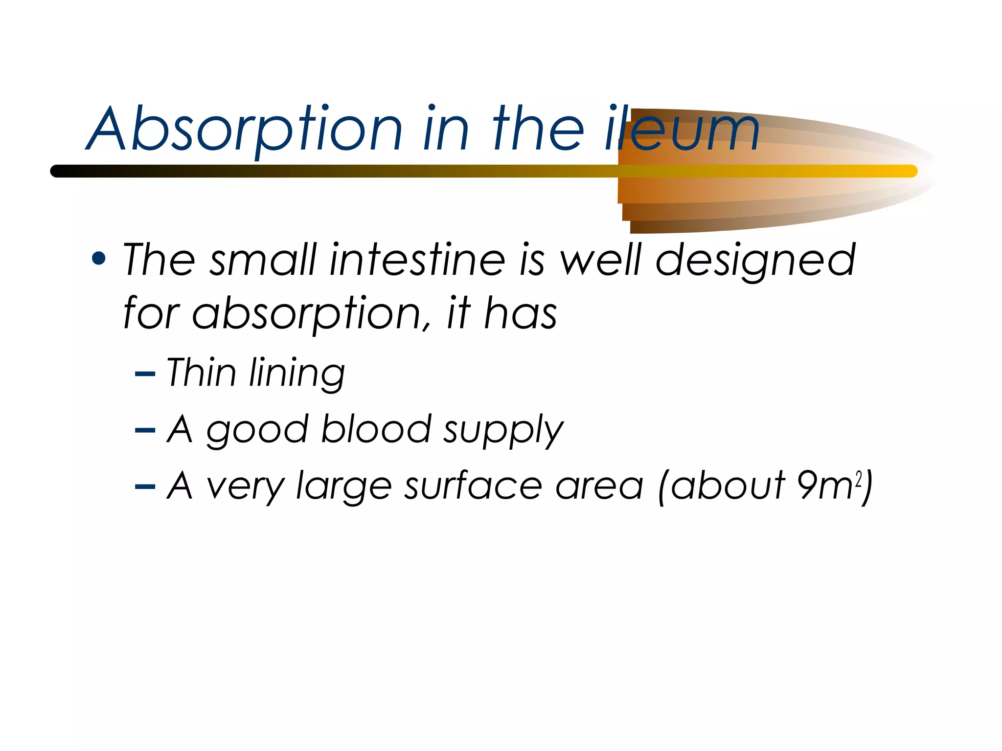 Absorption in the ileum
• The small intestine is well designed
for absorption, it has
– Thin lining
– A good blood supply
– A very large surface area (about 9m2)

 
