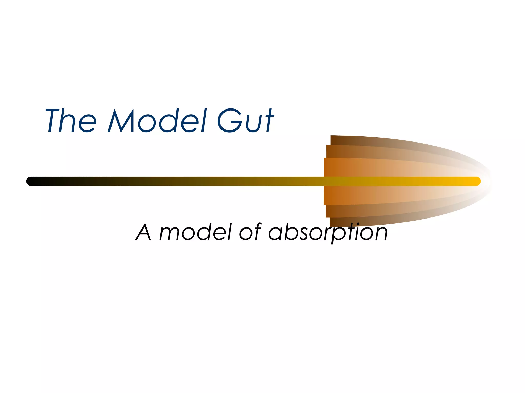 The Model Gut
A model of absorption

 