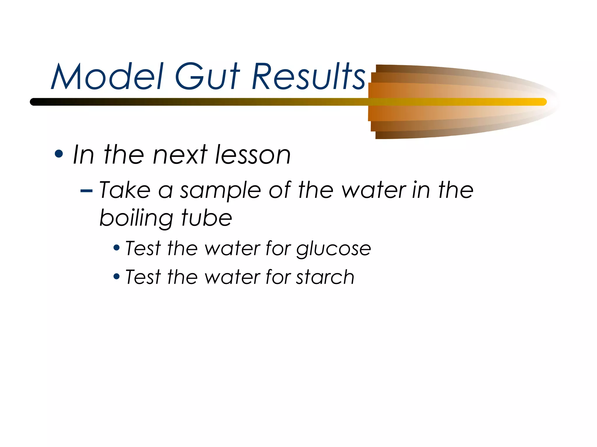 Model Gut Results
• In the next lesson
– Take a sample of the water in the
boiling tube
• Test the water for glucose
• Test the water for starch

 