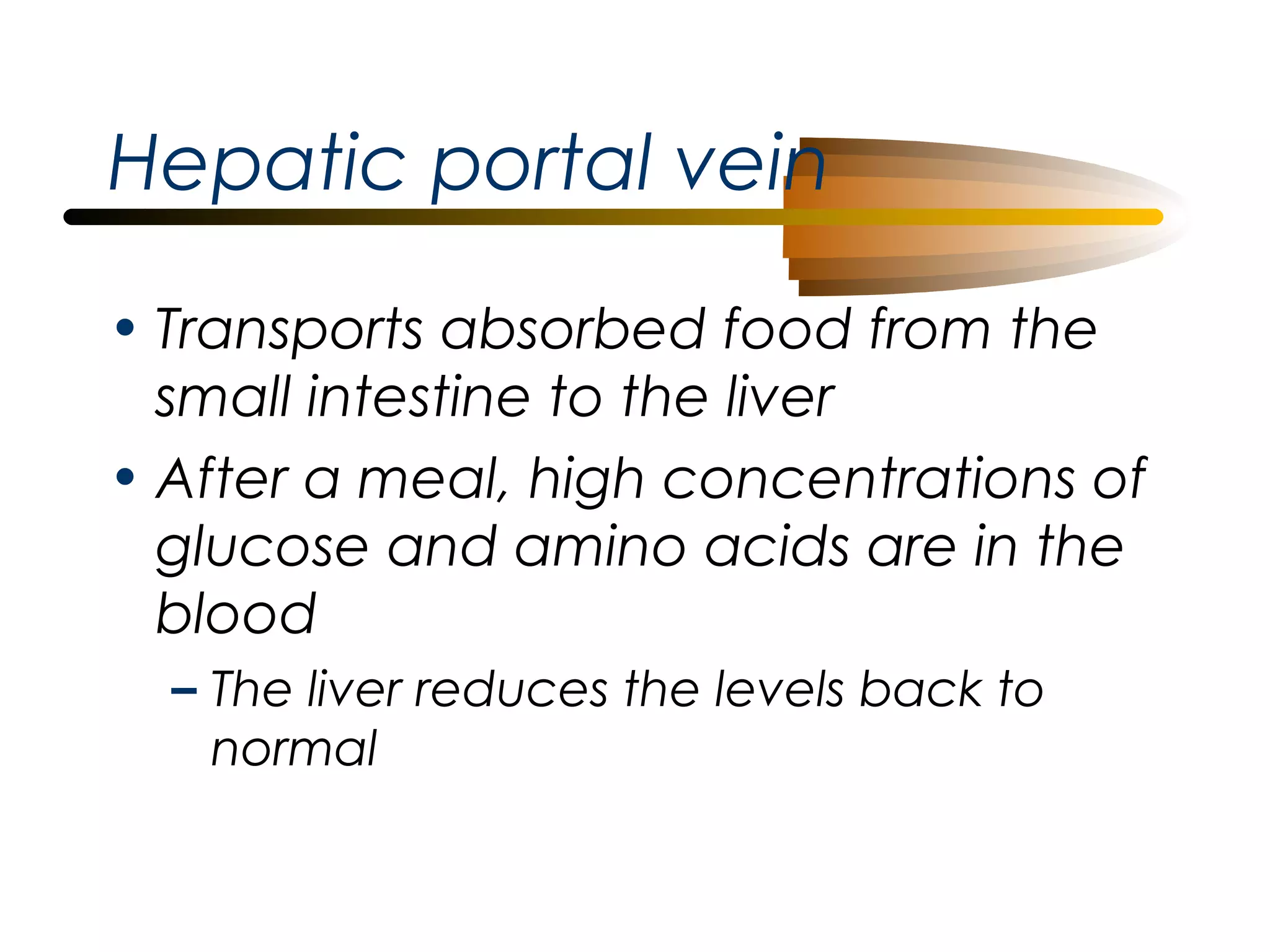Hepatic portal vein
• Transports absorbed food from the
small intestine to the liver
• After a meal, high concentrations of
glucose and amino acids are in the
blood
– The liver reduces the levels back to
normal

 