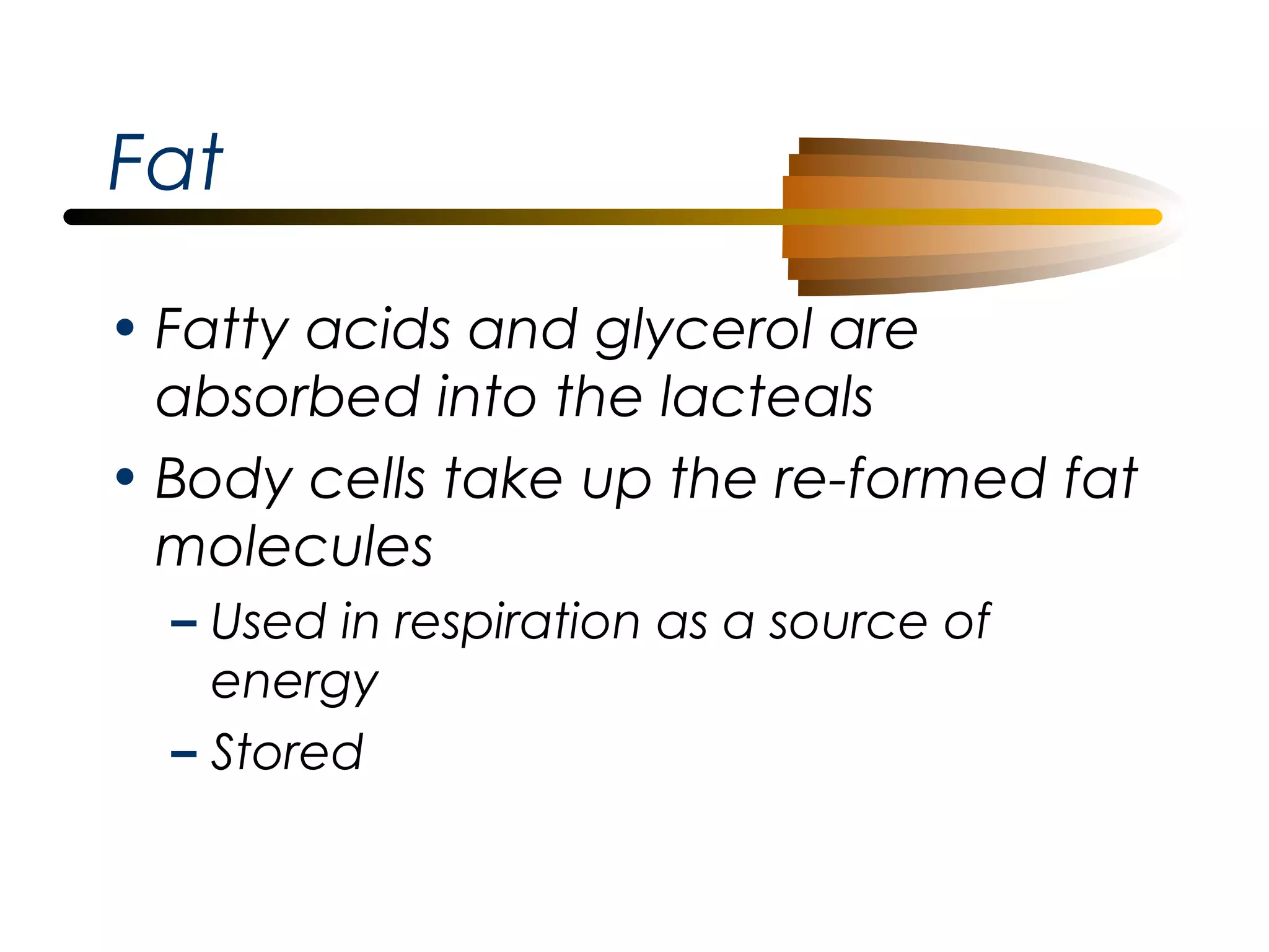 Fat
• Fatty acids and glycerol are
absorbed into the lacteals
• Body cells take up the re-formed fat
molecules
– Used in respiration as a source of
energy
– Stored

 