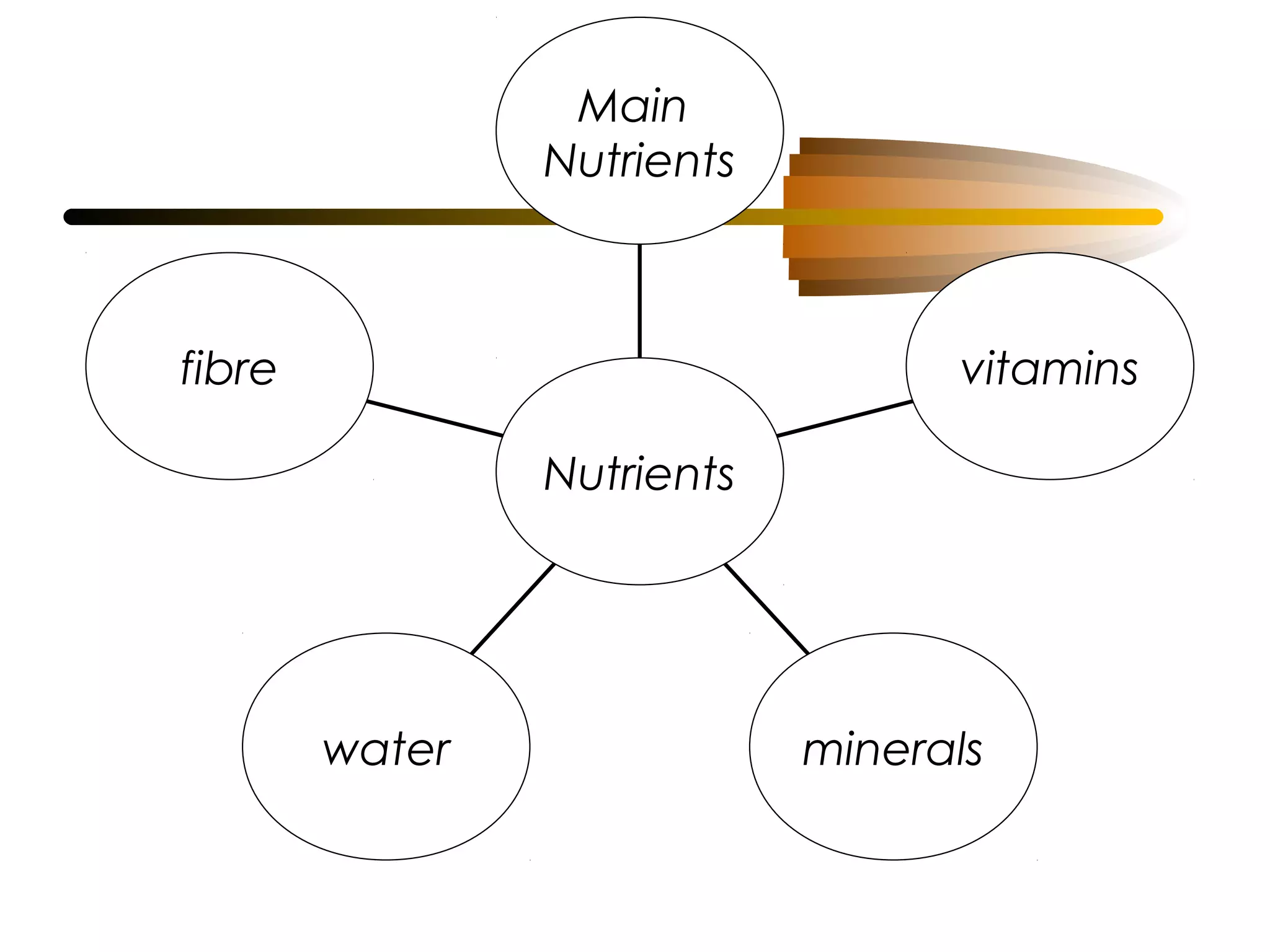 Main
Nutrients

fibre

vitamins
Nutrients

water

minerals

 